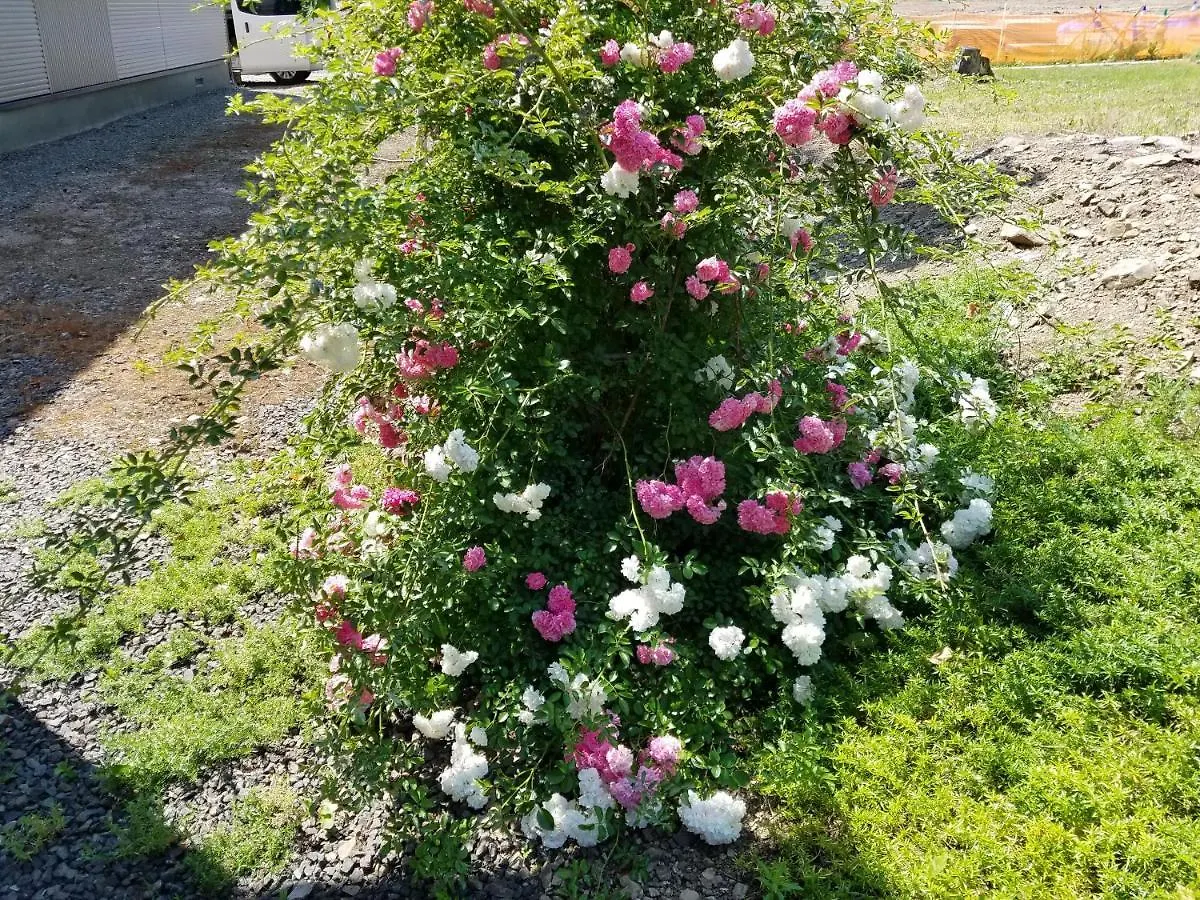 بيت خشبي Cottage Morino Nakamatachi NakaNakafurano