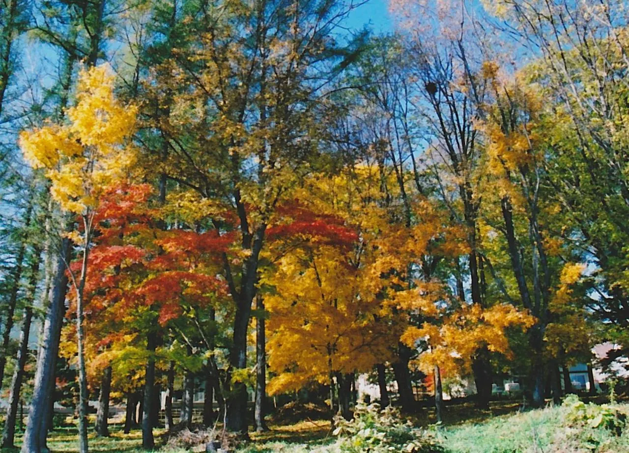 Cottage Morino Nakamatachi NakaNakafurano Nakafurano